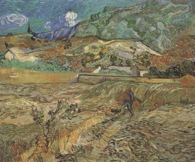 Vincent Van Gogh Enclosed Wheat Field with Peasant (nn04) Norge oil painting art